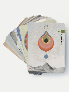 Acupunctuur Inzichtkaarten