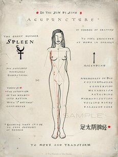 Acupunctuur Meridiaan Posters