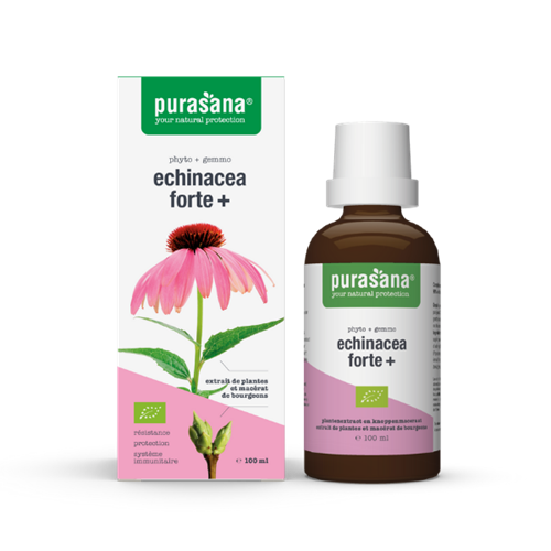 Purasana Echinacea Forte 100ml