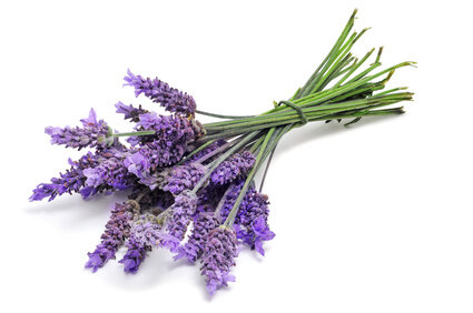 Lavendel etherische olie