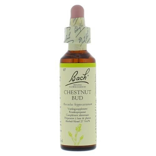 Bach Bloesem  Chestnut Bud  20ml