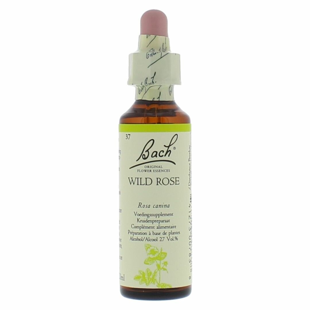 Bach Bloesem  Wild Rose