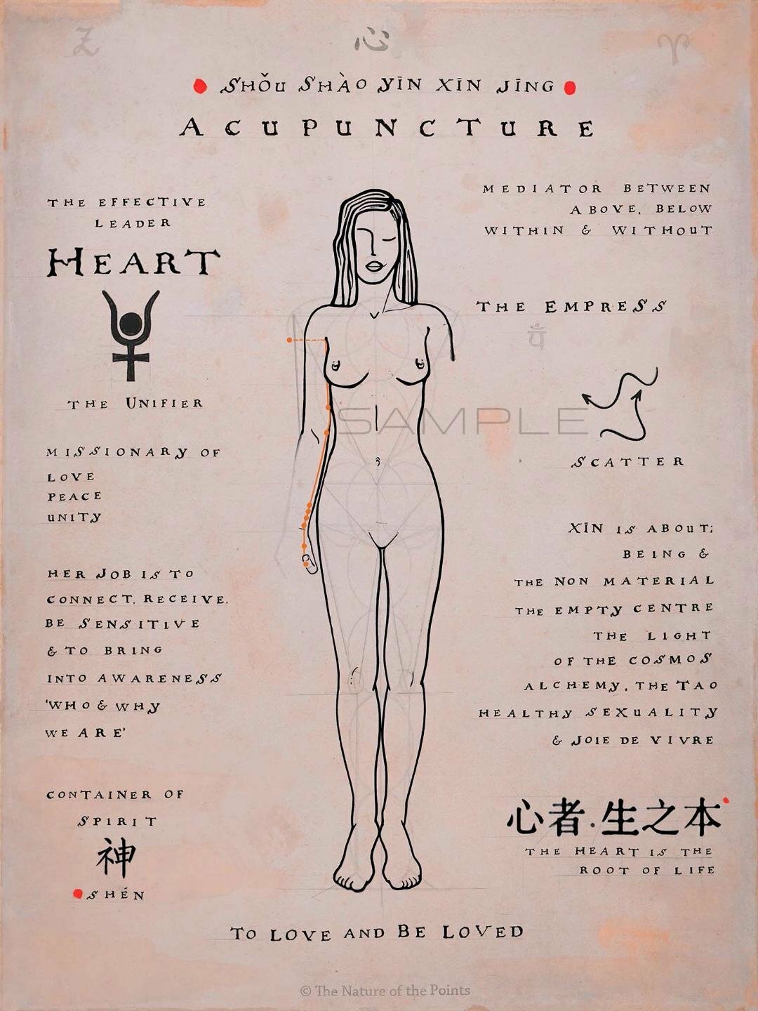 Meridian Poster - Heart