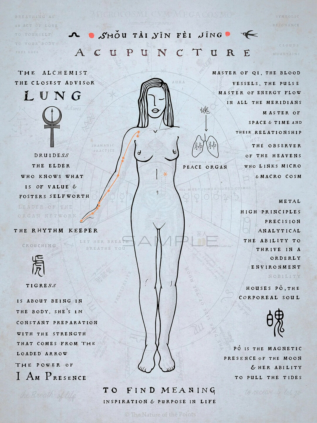 Meridiaan Poster - Long IX