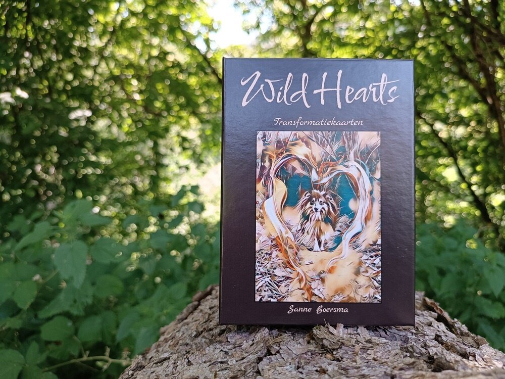 Wild Hearts &ndash; Transformation Cards &ndash; Sanne Boersma