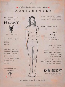 Meridian Poster - Heart