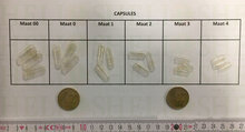 Lege Capsules VEGETARISCH maat 00 - 2000 stuks