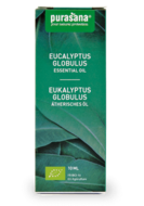 Eucalyptus globulus