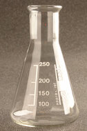 Erlenmeyer 250ml