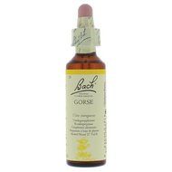 Bach Bloesem  Gorse  20ml