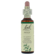 Bach Bloesem  Holly  20ml