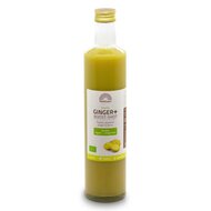 Biologische Ginger+ Boost - Gemberdrank - 500 ml - Mattisson