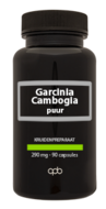 Garcinia Cambogia puur 290mg - 90caps - APB Holland