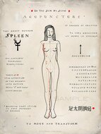 Meridian Poster - Spleen XII