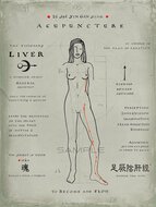 Meridian Poster - Liver