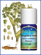 Angelica archangelica BIO etherische olie VedAroma