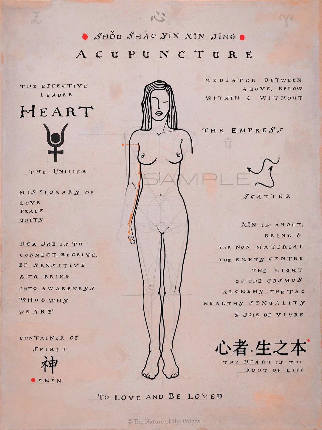 Meridian Poster - Heart