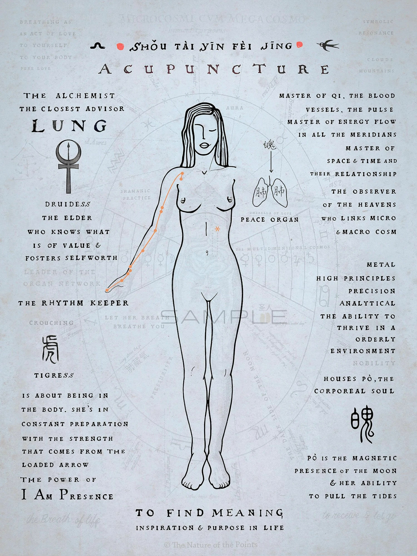 Meridiaan Poster - Long IX
