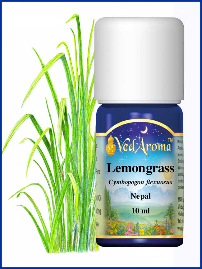 Lemongrass BIO etherische olie VedAroma