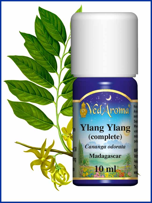 Biologische Ylang Ylang complete etherische olie