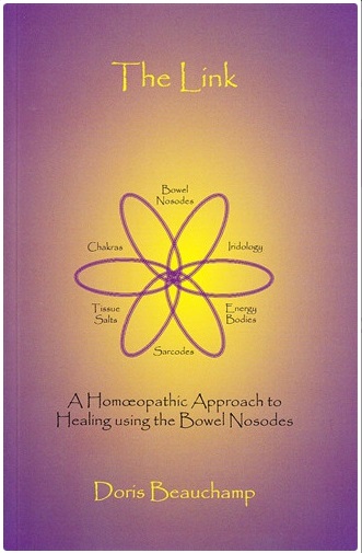 The Link - A Homeopathic Approach to Healing Using the Bowel Nosodes