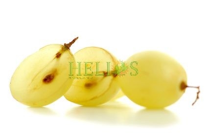 geraffineerde druivenpitolie