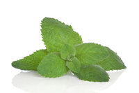 Citronella, Melissa Indicum etherische olie