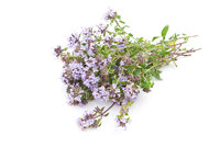 Tijm wilde Tijm etherische olie 