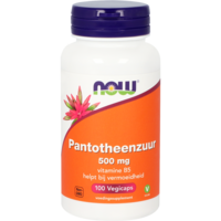 Pantotheenzuur 500mg - 100 Vegicaps - NOW