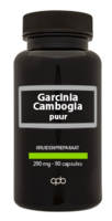 Garcinia Cambogia puur 290mg - 90caps - APB Holland