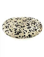 Zaksteen Jaspis Dalmatiër