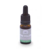 Dennenpollen Tinctuur 10ml  - Mattisson