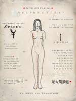 Meridiaan Poster - Spleen XII