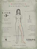 Meridiaan Poster - Liver VIII