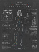 Meridiaan Poster - Nier IV