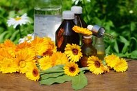 Blue cohosh tincture