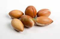 Arganolie Koudgeperst