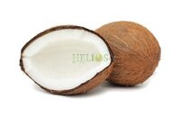 Cocosolie Extra Vierge Koudgeperst