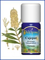Cajeput BIO etherische olie - 10ml - Vietnam - VedAroma