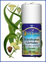 Eucalyptus Globulus BIO etherische olie  - 10ml - Portugal - VedAroma