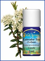 Ledum BIO etherische olie VedAroma