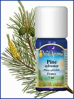 Pine Sylvester BIO etherische olie VedAroma
