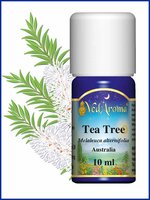 Tea Tree BIO etherische olie VedAroma