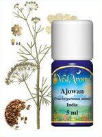 Ajowan BIO etherische olie  - 5ml - India - VedAroma